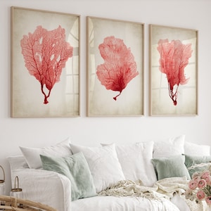 Arte vintage dei coralli rossi, corallo rosso a ventaglio su sfondo vintage, set moderno di 3 poster artistici, decorazione murale minimalista