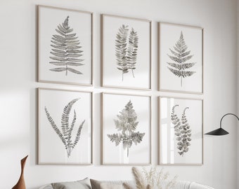 Watercolor Fern Set of 6 Prints, Minimalist Home Decoration, Watercolor Painting, Fern Leaves, Botanical Illustrations, Neutral Art