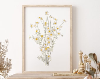 Aquarell Kamillenmalerei, minimalistische Wanddekoration, modernes Bauernhaus Kunstwerk, winzige Gänseblümchen-ähnliche Blumen, extra großes Poster, botanisches Giclee