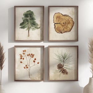Arte murale botanica rustica - Set di 4 stampe ad acquerello in stile fattoria