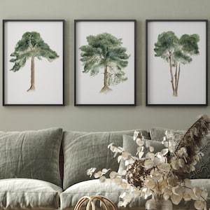 Set di pini, illustrazioni ad acquerello, decorazioni murali minimaliste per case moderne, set di 3 stampe, pittura botanica