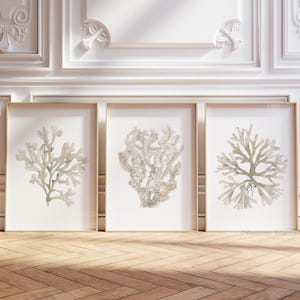 Beige Coral Prints – Neutral Watercolor Wall Art Set – Modern Coastal Decor - Set of 3