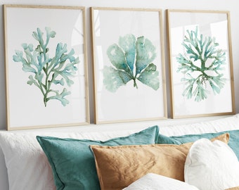 May include: Three framed watercolor prints of teal and green seaweed art. The prints are in light wood frames and are displayed above a bed with teal and tan pillows. A woven light fixture and tall dried grass are also visible.