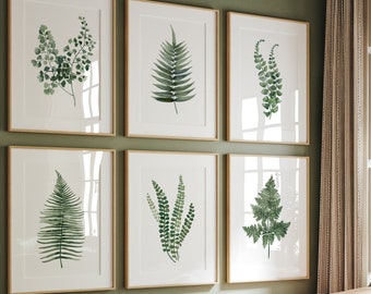 Set mit 6 Aquarellfarnen für moderne Innenräume, skandinavische Kunst, grüne Wanddekoration, Bauernhaus-Naturkunst, minimalistische botanische Drucke