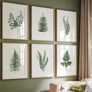 Set of 6 Watercolor Ferns for Modern Interiors, Scandinavian Art, Greenery Wall Decor, Farmhouse Nature Art, Minimalist Botanical Prints