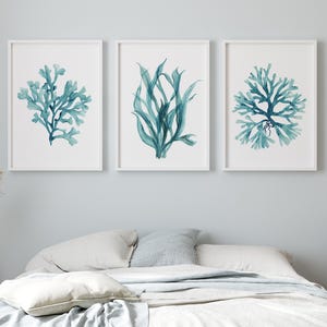 Arte murale corallo verde acqua smorzato – Set di 3 stampe costiere minimaliste, illustrazioni di piante oceaniche, arredamento moderno per case sulla spiaggia
