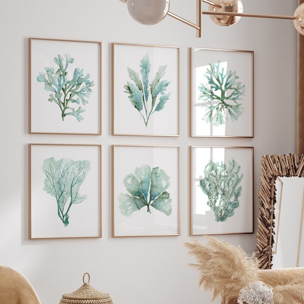 Aquarel koralen set van 6 prints, minimalistische kustposters, blauwgroen groen zeewier, botanische posters, natuurmuurdecor, moderne foto's