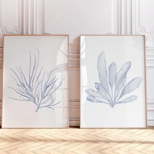 Coralli blu tenui, decorazione murale minimalista, dipinto di alghe, set di 2 stampe, alghe, arredamento nautico per la casa, arte costiera