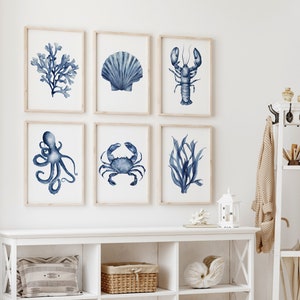 Może przedstawiać: Biała półka z sześcioma przegródkami, na której znajdują się różne przedmioty, w tym wiklinowy kosz, ozdobna muszla i poduszka. Półka znajduje się przy białej ścianie z sześcioma oprawionymi wydrukami akwarelowych ilustracji morskich stworzeń i wodorostów w kolorze niebieskim.