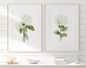 Pittura Hydrangea Annabelle, Set di 2 stampe, Illustrazione ad acquerello, Decorazione murale moderna Hamptons, Stampe Extra Large