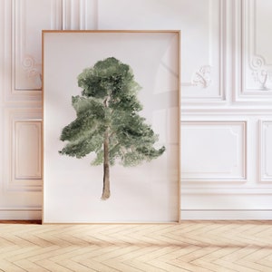 Albero astratto ad acquerello, dipinto botanico minimalista, pino, arte murale moderna in stile fattoria verde salvia, opera d'arte stagionale, regalo di Natale,