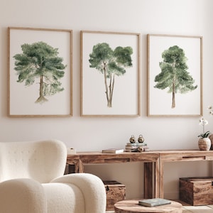 Minimalist Trees on White Background, Set of 3 Prints, Hand Painted Archival Prints, Nature Minimalist Botanical Illustrations, Pine Tree