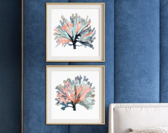 Quadratische Aquarell Algen in Marineblau Indigo & Koralle, Algenmalerei, minimalistisches Set von 2 Drucken, botanisches Dekor, moderne bildende Kunst