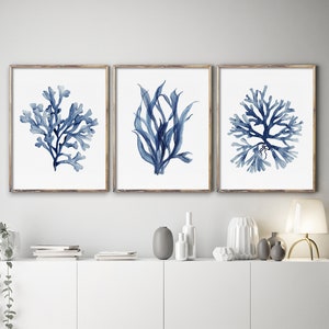 Lot de 3 estampes, corail et algues, oeuvre d'art minimaliste à l'aquarelle, impression botanique, décoration de chambre nautique, oeuvre d'art peinte à la main, décoration de maison de plage image 2