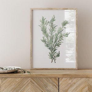 Rosmarin Aquarell Poster, Küchenkräuter Illustration, Minimalistischer Fine Art Print, Moderne Küchen, Botanisches Bild, Salbei Grüne Malerei