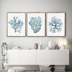 Corals and Seaweeds, Set of 3 Prints, Minimalist Wall Decor, Blue-sky & Gray Art, Hamptons Room Interior, Water Plants, Christmas Gift Idea