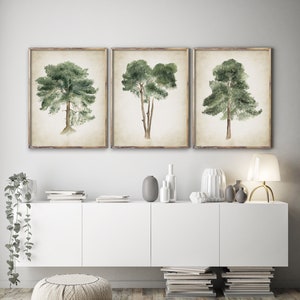 Stampe di pini d'epoca – Set di 3 – Arte botanica minimalista rustica – Illustrazioni della natura su sfondo antico – Decorazione da parete extra large