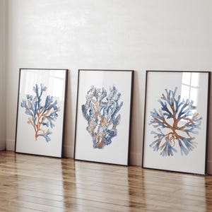Corales azul marino y naranja quemado, juego de 3 impresiones, arte mural botánico en acuarela, obra de arte costero moderno