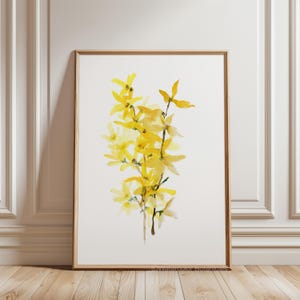 Dipinto ad acquerello di Forsythia – Fiori primaverili gialli, arte murale floreale botanica, stampa botanica primaverile