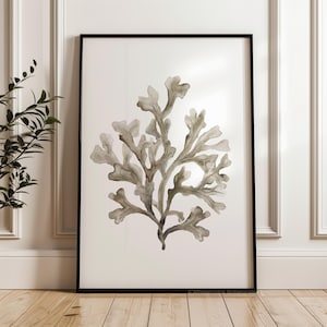 Stampa artistica di alghe marroni singole, pittura ad acquerello costiera neutra, decorazione murale beige ecrù, belle arti, arredamento per case sulla spiaggia Mocca