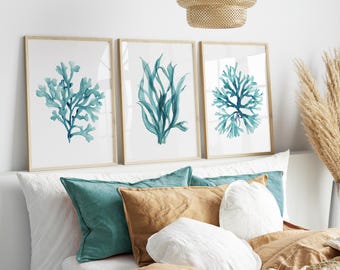Deep Teal Coral Wall Art – Set of 3 Minimalist Coastal Prints, Ocean Plant Illustrations, Modern Beach House Decor