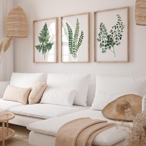 May include: Three framed watercolor prints of green ferns on a white wall above a white sectional sofa with a brown throw blanket and a brown hat on the sofa.