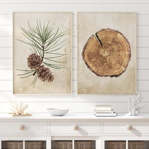 Könnte beinhalten: Zwei gerahmte botanische Drucke. Einer zeigt eine Aquarellillustration eines Kiefernzweigs mit Nadeln und Zapfen. Der andere Druck zeigt einen Querschnitt eines Baumstamms. Beide Drucke haben einen neutralen Hintergrund und sind in hellem Holz gerahmt.