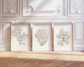 Beige Coral Prints, Neutral Minimalist Wall Art, Watercolor Botanical Picture, Nautical Set of 3 Prints, Slow Life Decor, Modern Home Decor