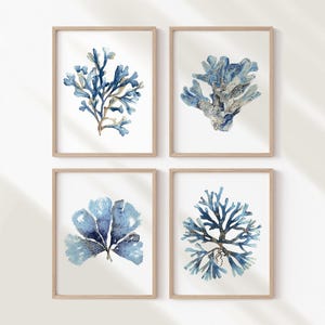May include: Four framed watercolor prints featuring blue coral and seaweed designs. Each print is in a light wood frame. The artwork showcases various forms of marine life, with shades of blue and beige against a white background, creating a coastal theme.