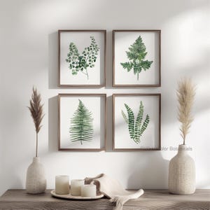 May include: Four framed botanical prints featuring watercolor illustrations of green ferns. The prints are displayed on a white wall above a wooden table with decorative candles and vases. The frames are a warm brown color.