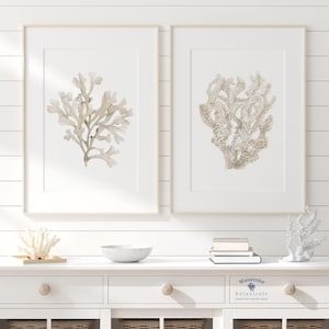 Beiges Set von 2 Korallen, minimalistische Wanddekoration, moderne Malerei, Strandhaus Küstenneutralien