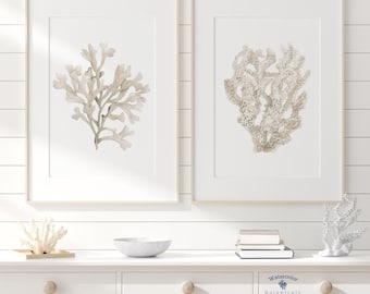 Set beige di 2 coralli, decorazione murale minimalista, dipinto moderno, colori neutri costieri per case sulla spiaggia