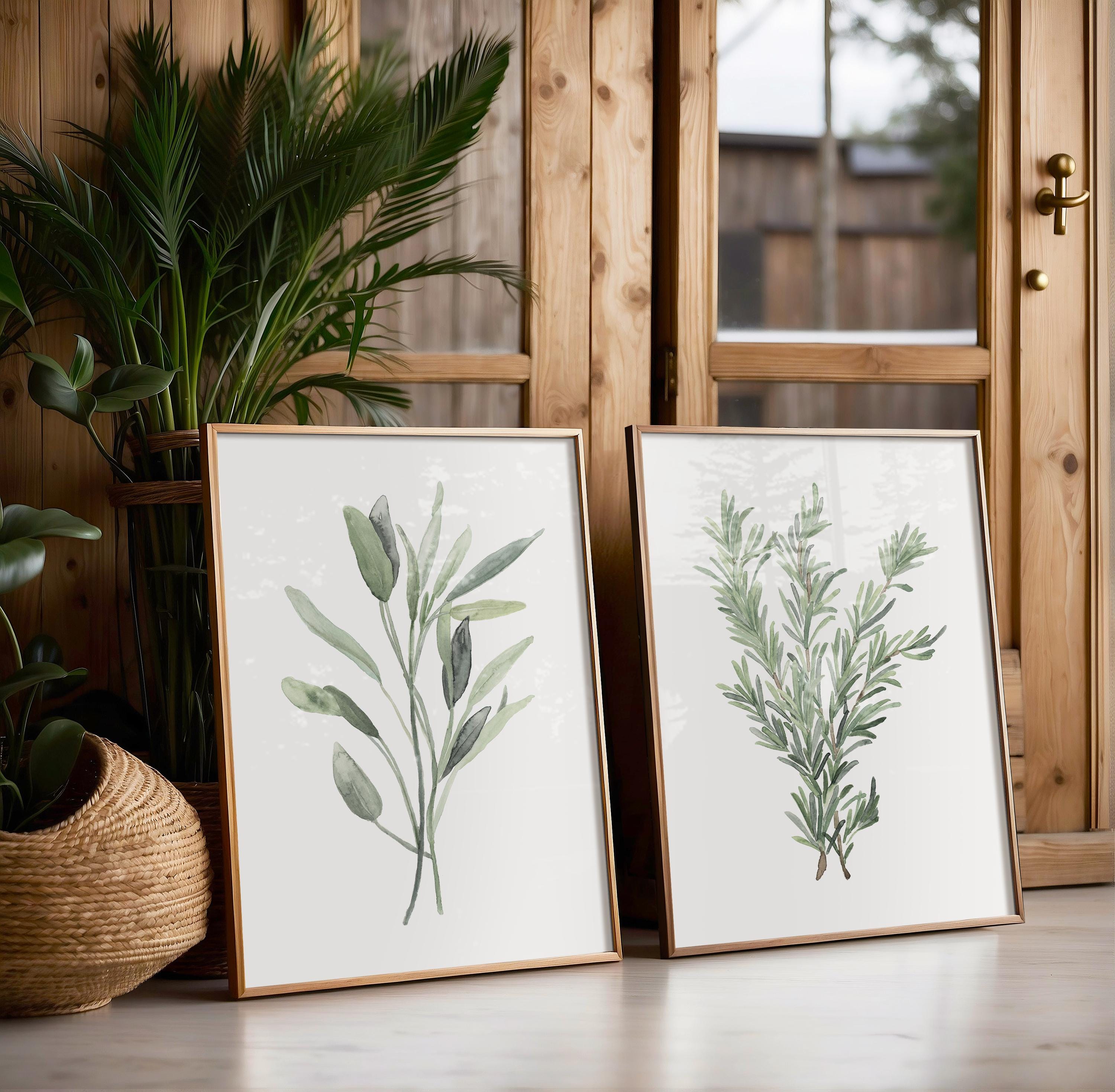 Modern Herb Wall Art – Sage Watercolor Prints Set of 2, Botanical ...