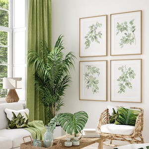 May include: A living room interior with a white couch, a green plant, and a set of four framed watercolor prints of green leaves on a white background.