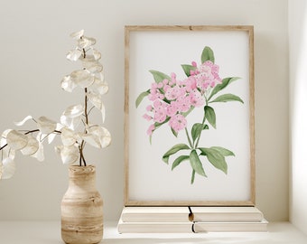 Mountain Laurel Watercolor, Minimalist Wall Decor, Botanical Print, Kalmia Latifolia, State Flower Connecticut and Pennsylvania