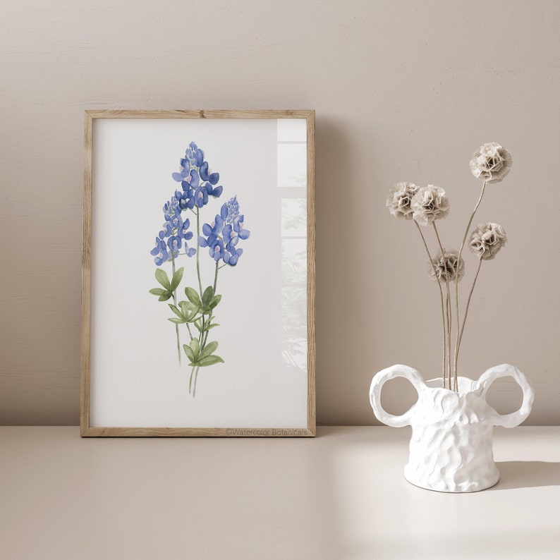 K&ouml;nnte beinhalten: Ein Aquarellbild eines Strau&szlig;es von Blausternblumen, einer Wildblumenart, die in Texas heimisch ist, in einem wei&szlig;en Rahmen. Das Bild ist auf wei&szlig;em Hintergrund.