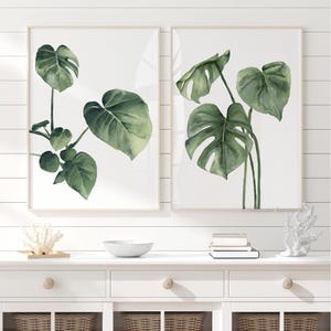 Arte botánico de hojas de monstera - Set de arte mural de hojas de monstera - Impresiones modernas de acuarela, póster minimalista de plantas verdes, arte de selva tropical