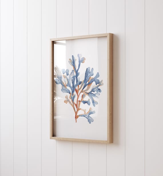 Blue and Rust Orange Set of 2 – Coastal Coral Wall Art Prints