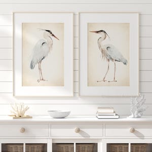 Pájaros costeros antiguos, arte de garzas, decoración de pared, pájaros del lago, juego de 2 impresiones, imágenes minimalistas, póster