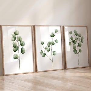 Trio botanico di eucalipto – Set di 3 stampe ad acquerello, arte murale minimalista con vegetazione, decorazioni con foglie tropicali, grandi poster di piante scandinave