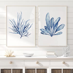 Handgemalte Algen, Indigo Malerei Aquarell Kunst 2er-Set Drucke - Maritime Wanddekoration Strandhaus Hamptona Style Art Art