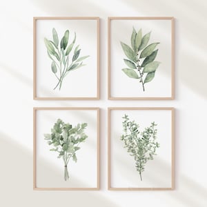 Kräuter – Set aus vier Aquarell botanischen Postern, Kulinarische Kräuter Illustrationen, Küchen Prints, Wandkunst