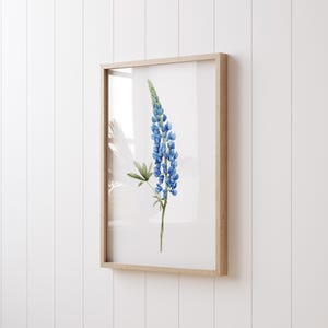 Impressão artística de Lupinus, pintura de Lupine azul, decoração de parede em aquarela, impressão de belas artes, arte moderna, flor minimalista, presente, arte moderna de fazenda