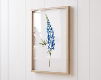 Lupinus Flower Print - Painting, Blue Watercolor Botanical Decor, Modern Farmhouse