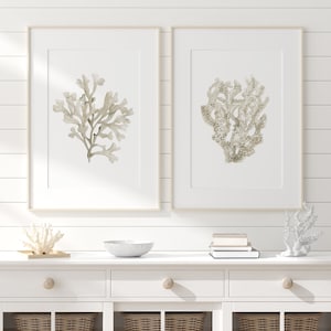 Due stampe corallo beige, decorazione murale neutra minimalista, poster di belle arti botaniche, due immagini costiere