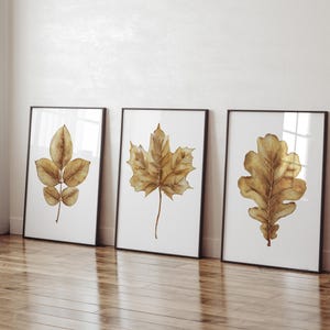 Set med 3 gula höstbotaniska tryck – Minimalistisk väggkonst med ek-, ask- och lönnlöv