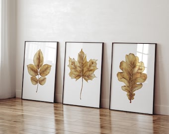 May include: Three framed watercolor paintings of autumn leaves. The leaves are in shades of brown and gold. The frames are black and the background is white.
