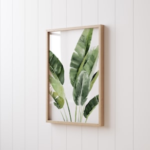 A framed watercolor painting of green banana leaves on a white background.