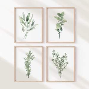 Kräuterquartett Wandkunst - Oregano, Thymian, Salbei & Rosmarin Aquarell Drucke, Minimalistisches Küchen Dekor-Set
