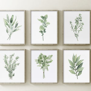 Kitchen Herbs, Set of 6 Prints, Light Green Sage, Rosemary, Parsley, Oregano, Bay Leaf, Thyme Botanical Wall Decor Watercolor Minimalist Art